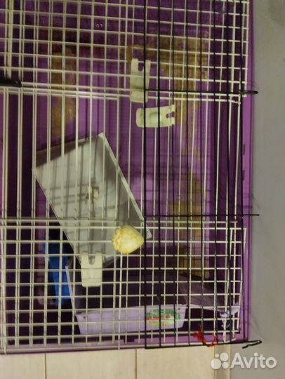 Клетка для грызунов