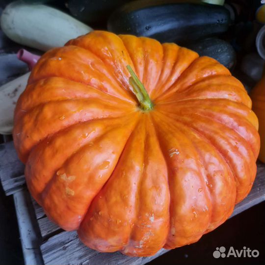 Доставка овощей