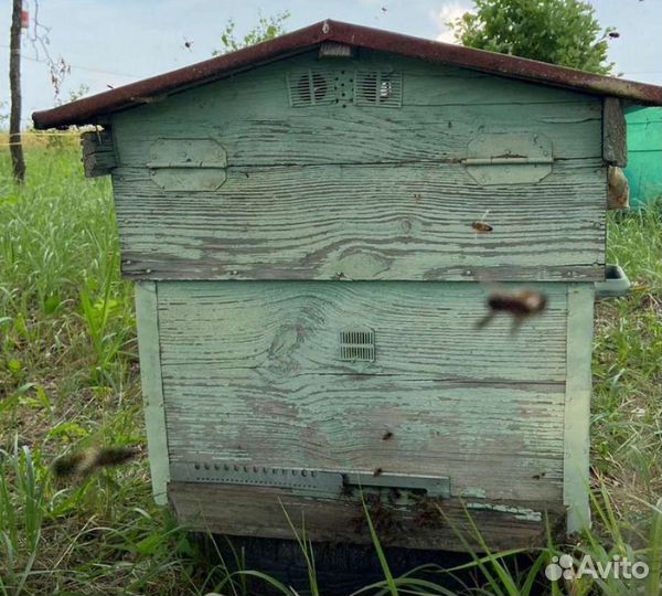 Ульи для пчел бу