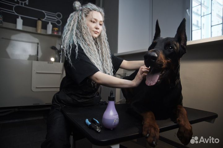 Грумер. Стрижка, вычес, мытье собак/кошек. Скидки