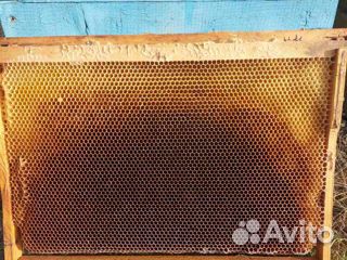 Продам ульи для пчел