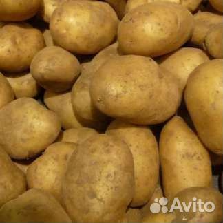 Продам картофель едовой