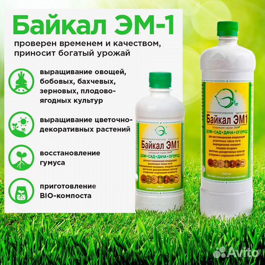 Байкал эм-1