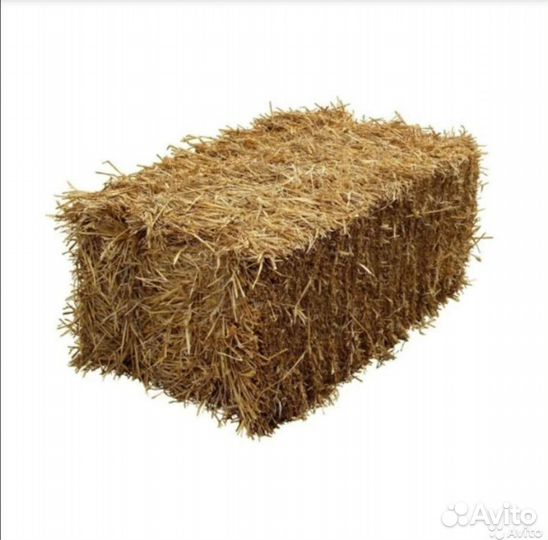 Сено в тюках