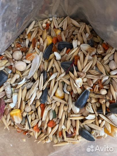 Корм для грызунов