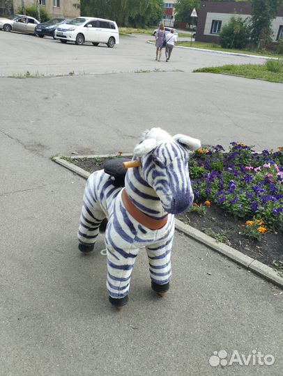 Поницикл средний