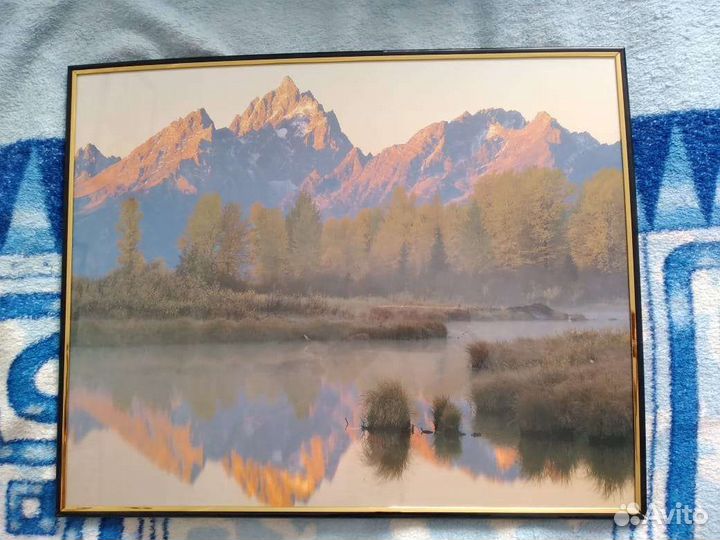 Картины и постеры