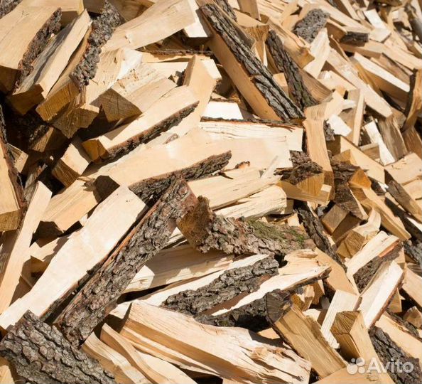 Дрова береза