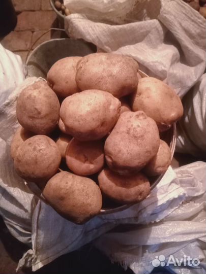 Картофель с доставкой
