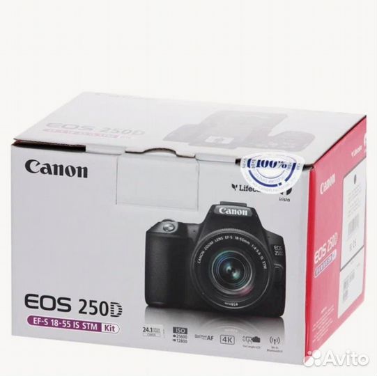 Зеркальный фотоаппарат Canon EOS 250D Kit 18-55mm