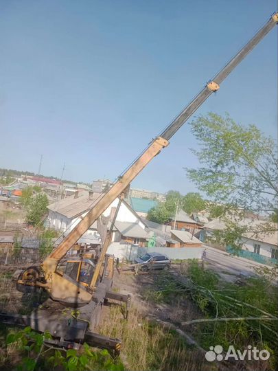 Спил деревьев