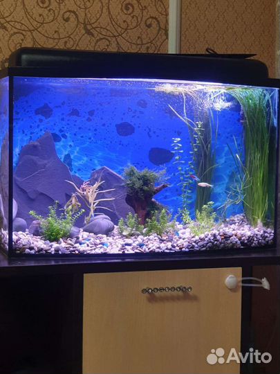 Аквариум