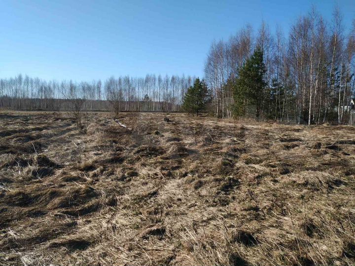 Участок 14 сот. (ИЖС)