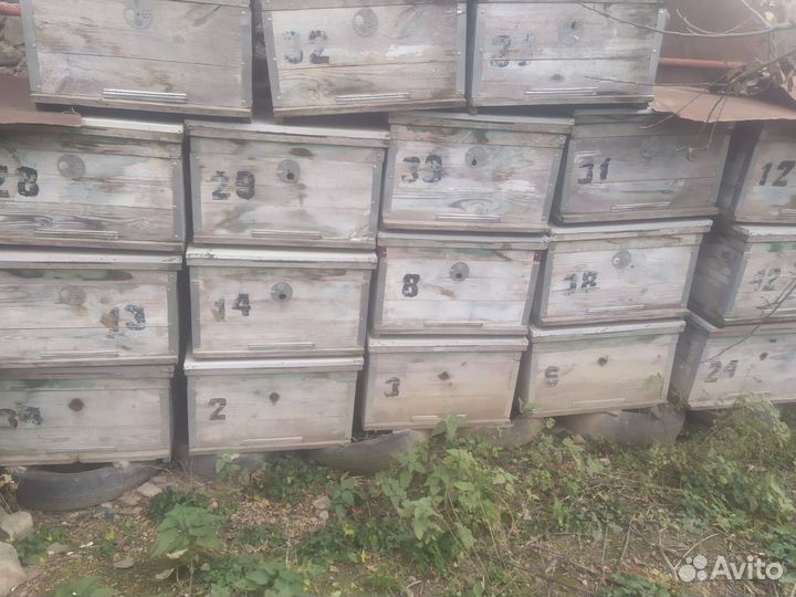 Ульи для пчел