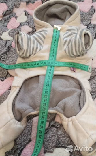 Вещи для собаки или кошки