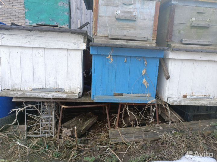 Инвентарь для пчеловодства