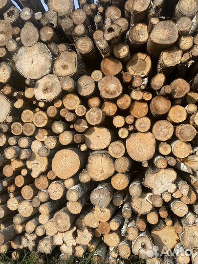 Дрова,лес,берёза,осина,баланс хвоя