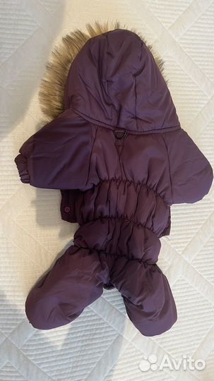 Одежда для собак