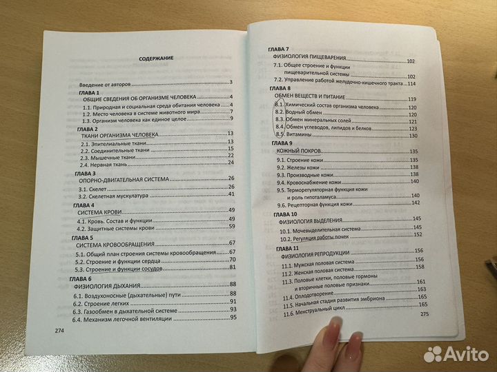 Строение и функции орзанизма человека