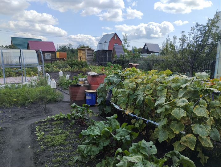 Участок 3 сот. (СНТ, ДНП)