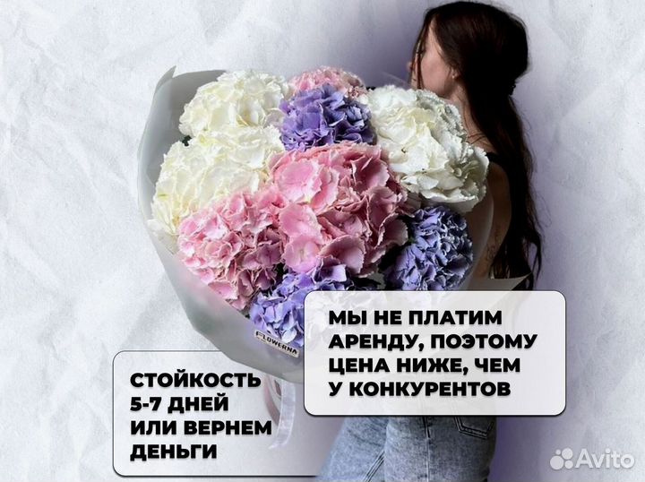 Гортенизии