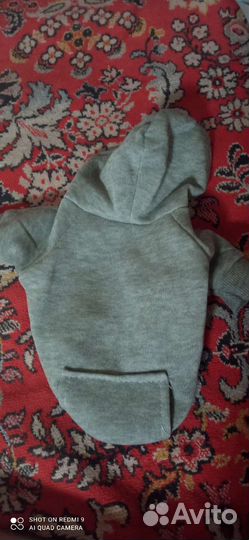 Одежда для животных