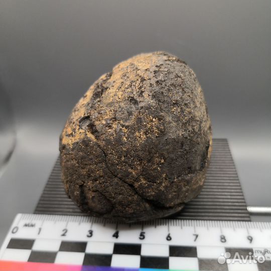 Конкреция фосфорита, Россия