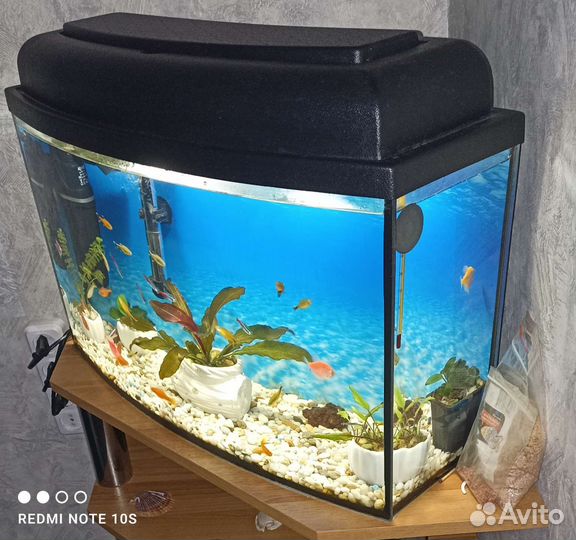 Аквариум с рыбками