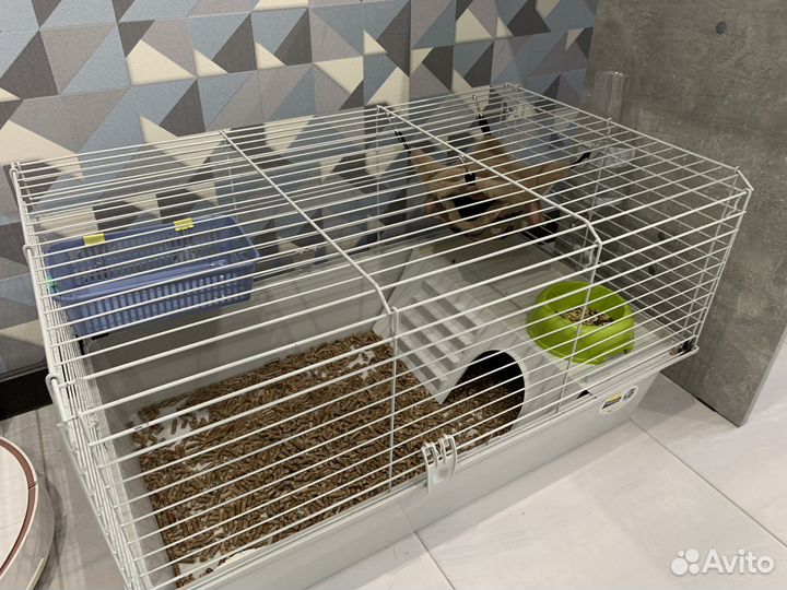 Клетка для грызунов