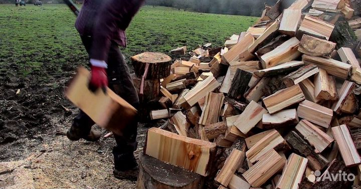 Дрова оптом