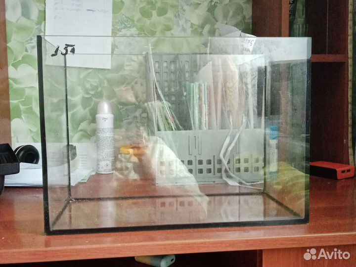 Аквариум