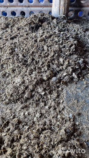 Конский навоз