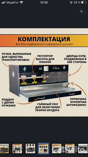 Брудер для цыплят до 250 голов