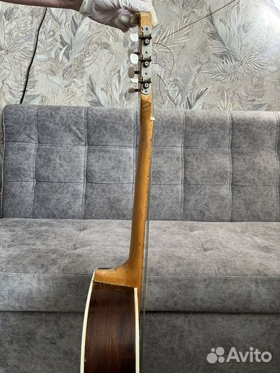 Гитара болгария Cremona