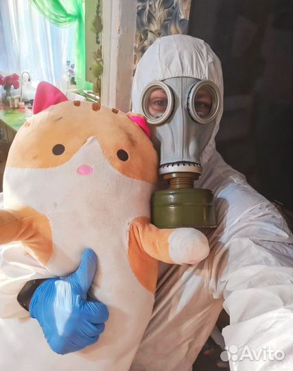 Уничтожение Клопов Тараканов Блох Клещей