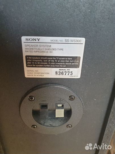 Колонки для домашнего кинотеатра Sony SS-TS 300