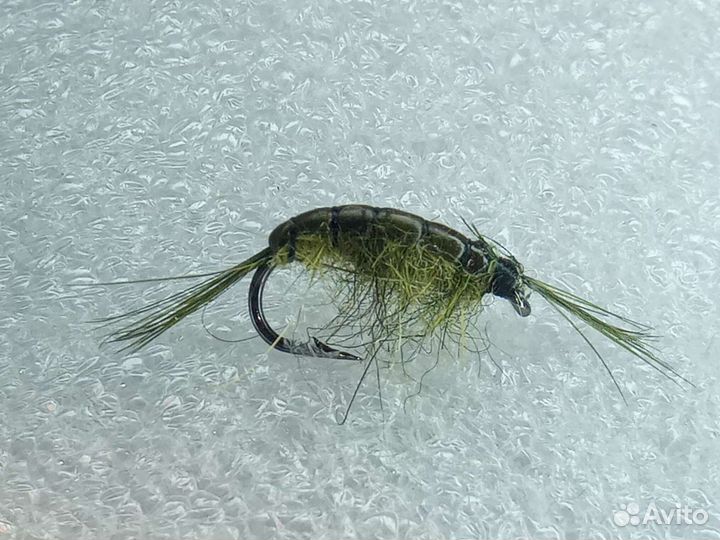 Сибирская мушка ручейник тёмнозелёный