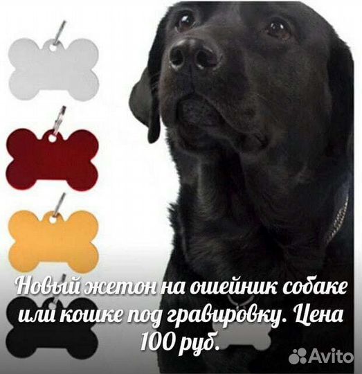 Гравировка на жетоне для собак и кошек