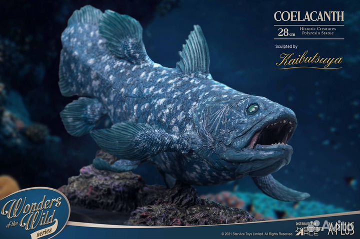 Coelacanth