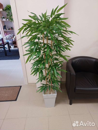 Искусственное дерево бамбук