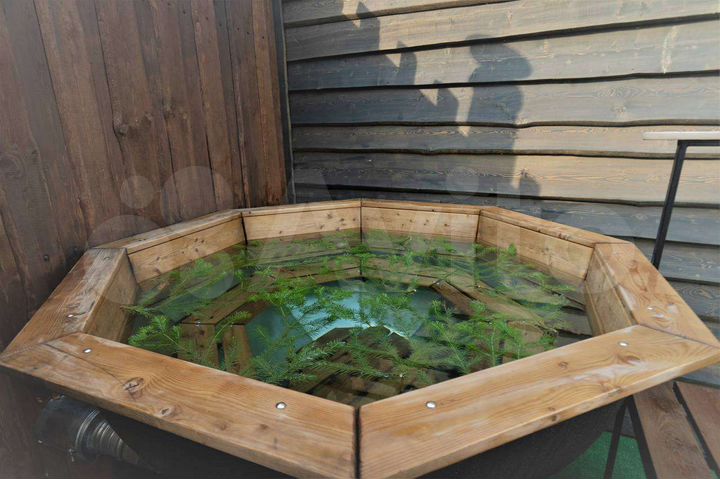 Дом 56 м² на участке 1 сот.