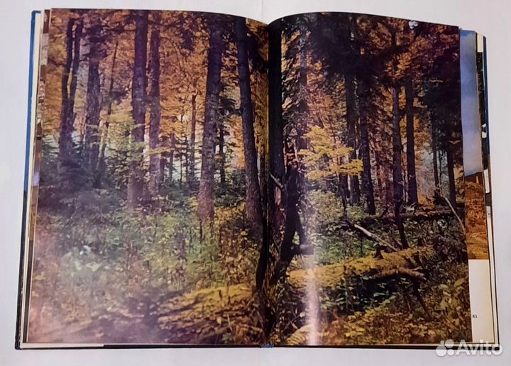 Покоренные вершины / Скоренi вершини Фотоальбом