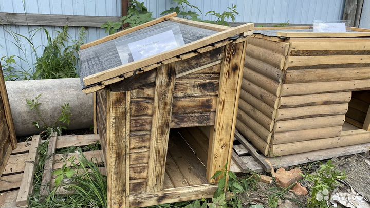 Собачьи будки