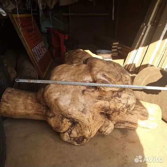 Кап березовый очищенный