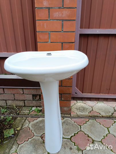 Раковина тюльпан и другие