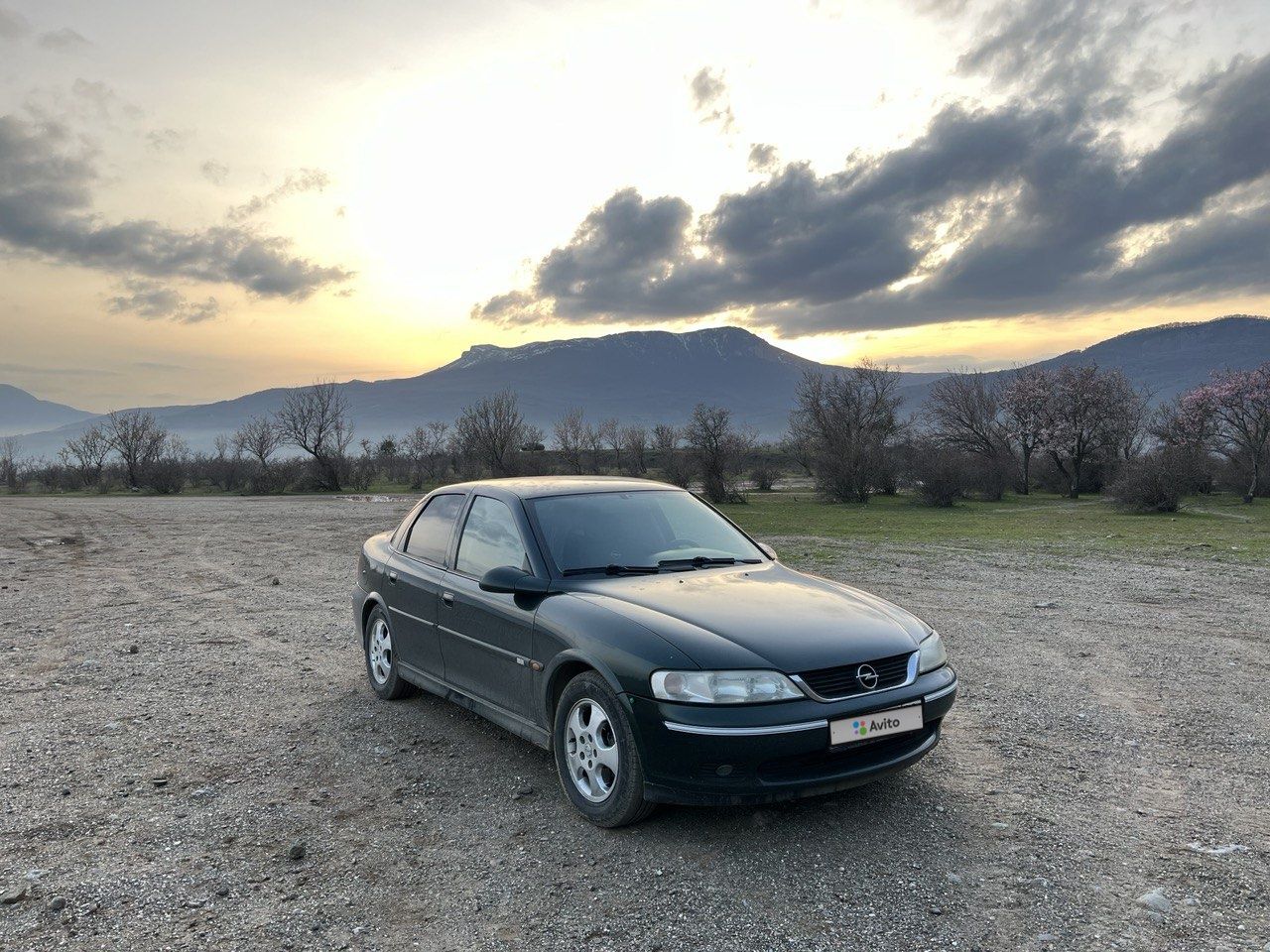Opel Vectra: фото владельца