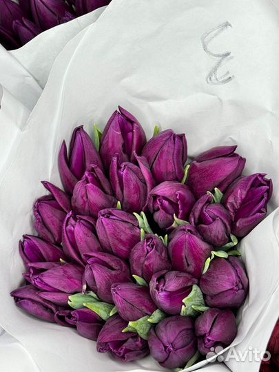 Тюльпаны к 8 марта