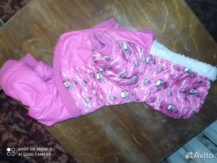 Комбинезон для маленькой собачки