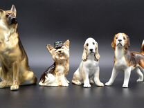 Коллекция собак: овчарка, спаниель, йорк, бигль