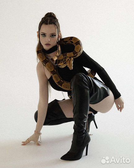 Аренда змей